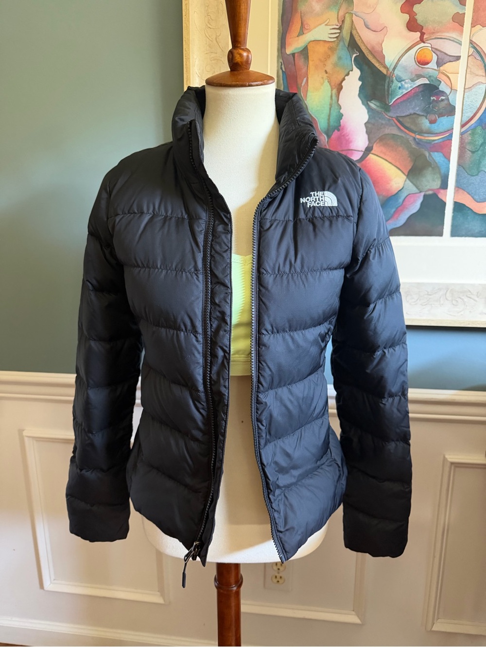 The North Face Women's Black Quilted Down Puffer Jacket